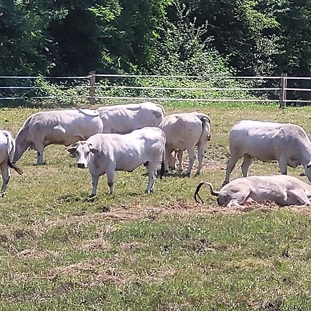 Agriturismo La Fornace Centro Ippico Como Kültér fotó