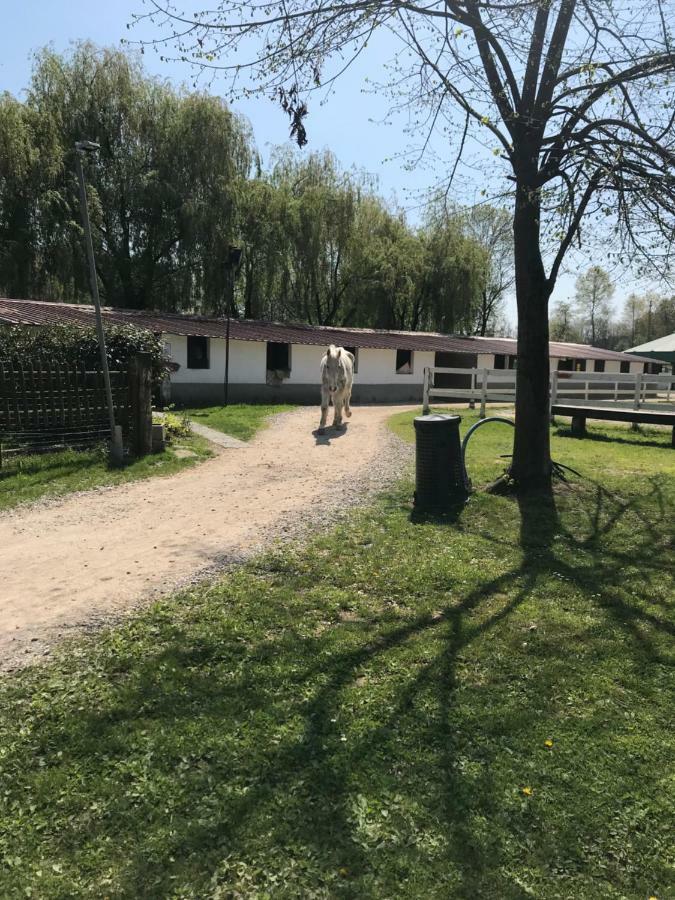 Agriturismo La Fornace Centro Ippico Como Kültér fotó