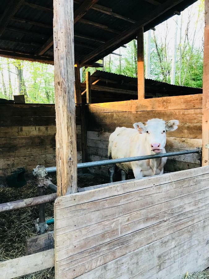 Agriturismo La Fornace Centro Ippico Como Kültér fotó