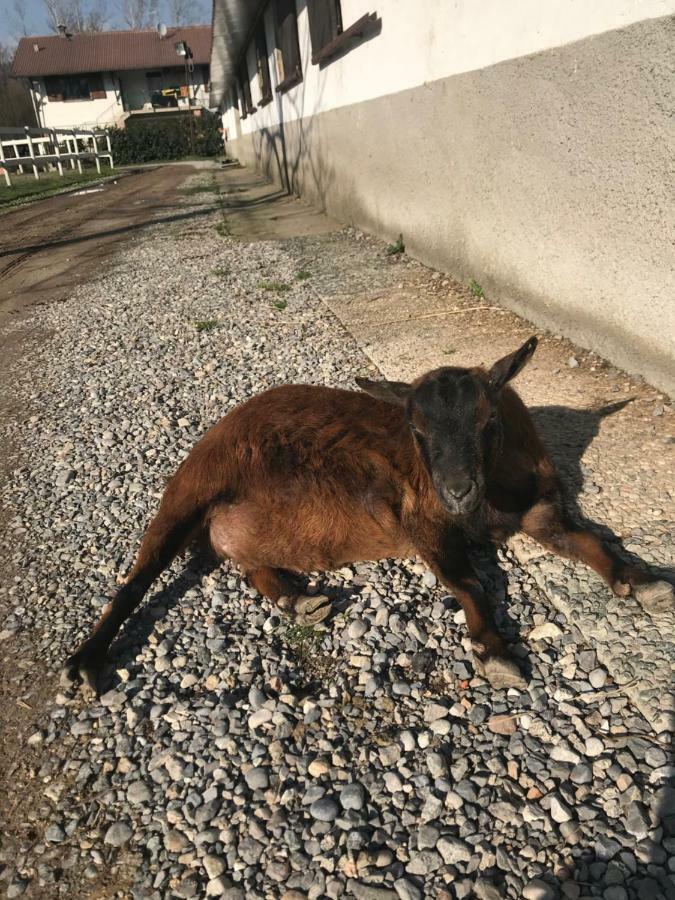 Agriturismo La Fornace Centro Ippico Como Kültér fotó
