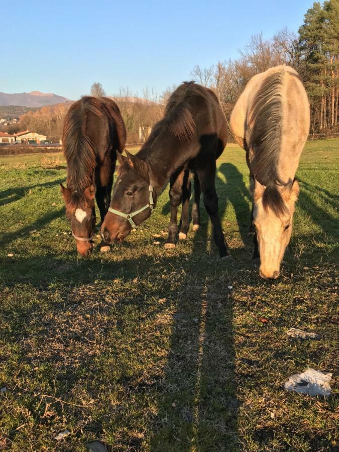 Agriturismo La Fornace Centro Ippico Como Kültér fotó